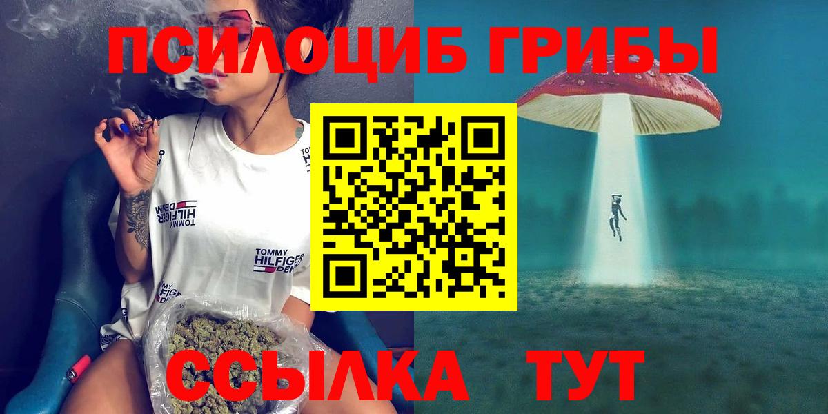 Галлюциногенные грибы Cubensis Воронеж
