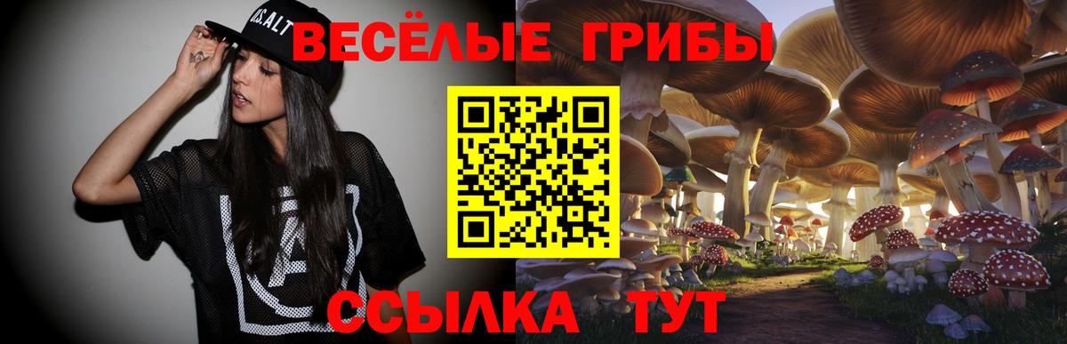 Воронеж  Псилоцибиновые грибы GOLDEN TEACHER  Вход с VPN 